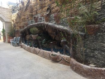 View of street by plants in park