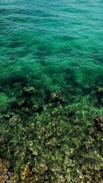 High angle view of sea shore