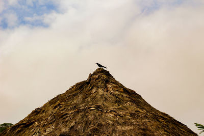Low angle view of bird perching on mountain against sky