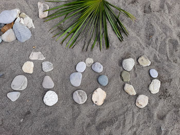High angle view of shells on beach