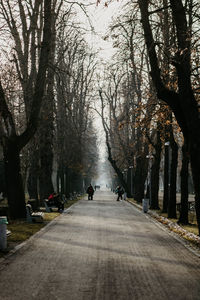People walking on footpath in park