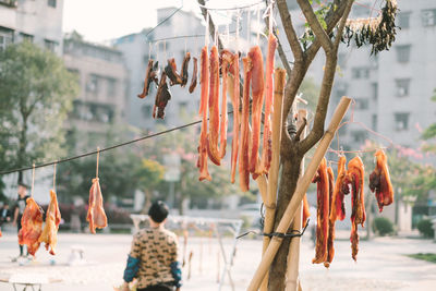 Close-up of fish for sale