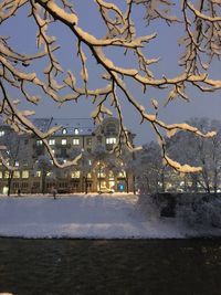 Buildings and trees against sky during winter