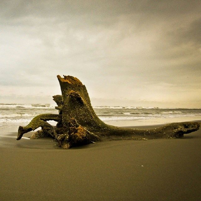 El perro Mexico Veracruz Casitas Playa mar costa esmeralda sea sky nature landscape igersmexico vive_mexico photojournalism mxdelosmx flickr