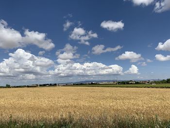 A general view of the nearby of daimiel 