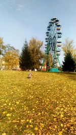 Ferris wheel in park against sky