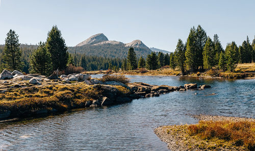 wilderness
