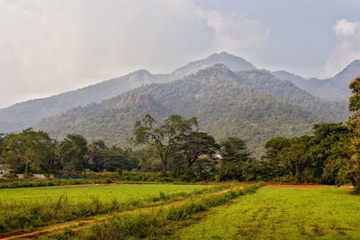 Scenic view of landscape against sky