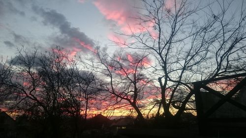 Bare trees against sky at sunset