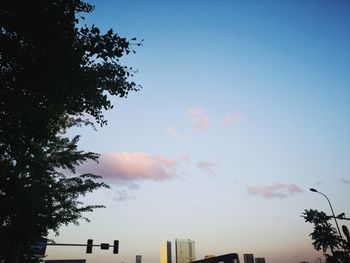 Low angle view of silhouette trees and buildings against sky