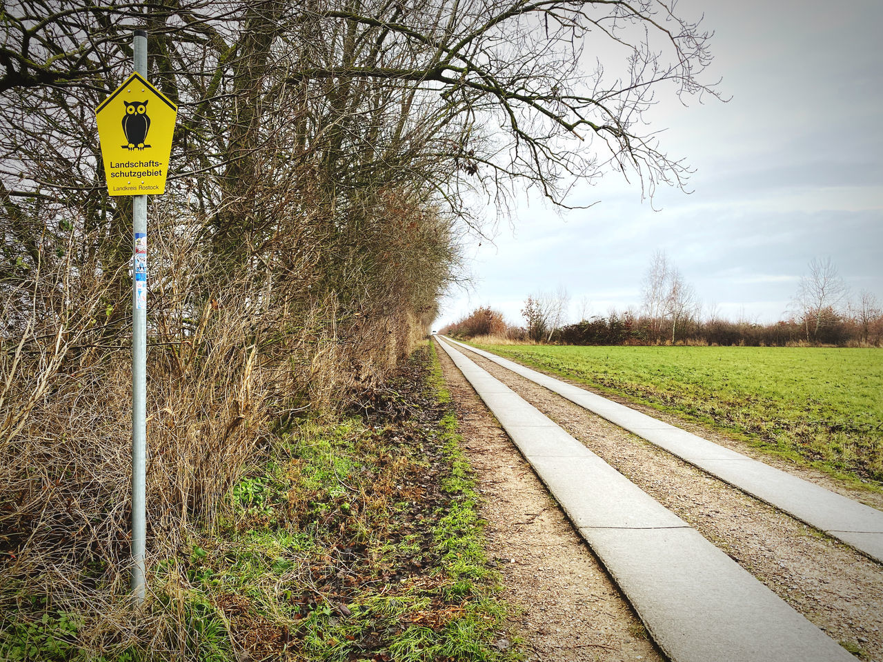 sign, plant, road, tree, road sign, communication, transportation, nature, sky, transport, guidance, no people, track, rural area, day, the way forward, warning sign, railroad track, rail transportation, grass, bare tree, outdoors, symbol, yellow, lane, information sign, morning, diminishing perspective, tranquility, cloud, land