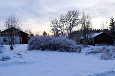 Bare trees on snow covered field by houses against sky