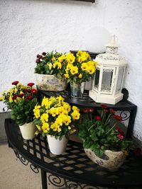 Flowers in vase on table