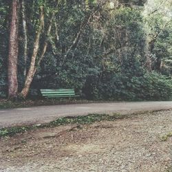 Empty road amidst trees in forest