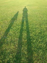 Shadow of people on field