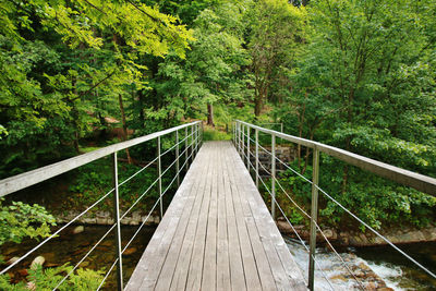 Footbridge amidst trees