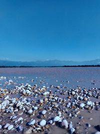 Scenic view of sea against clear blue sky