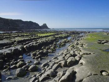 Scenic view of beach against sky