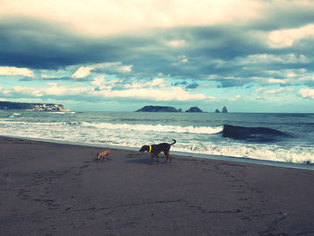 Scenic view of beach against sky