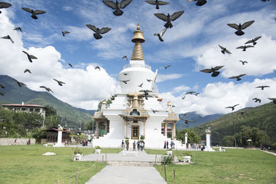 Flock of birds flying against the peace stupa 