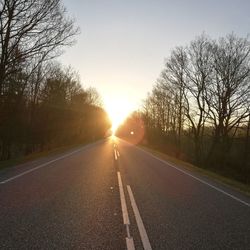 Road amidst trees against sky during sunset