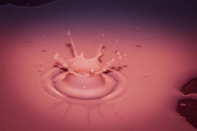 Close-up of water drops on glass