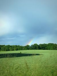 Scenic view of field against sky