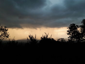 Silhouette of trees against cloudy sky