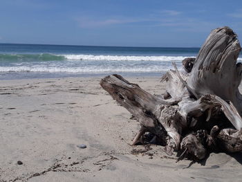 Driftwood on beach by sea against sky