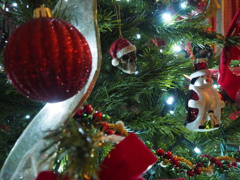 Close-up of christmas tree