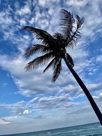 Low angle view of palm tree by sea against sky