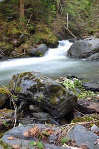 Scenic view of waterfall in forest