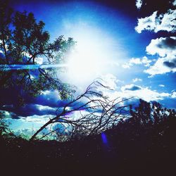 Low angle view of trees against sky