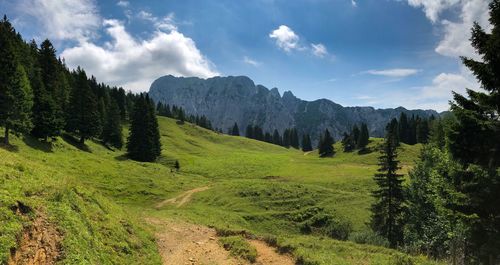 Panoramic view of landscape against sky