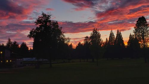 Silhouette trees on field against sky at sunset