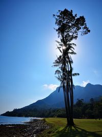 Scenic view of landscape against blue sky