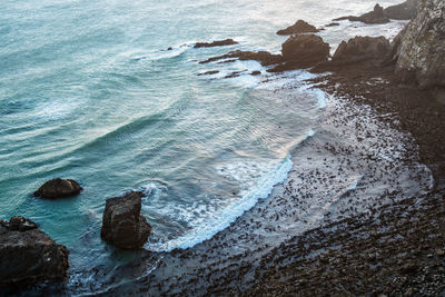 High angle view of rocks on sea shore