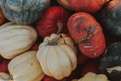 Full frame shot of pumpkins for sale at market stall