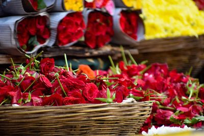 Close-up of red flowering plants in basket for sale