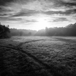 Scenic view of landscape against sky