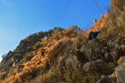 Rear view of people climbing on mountain