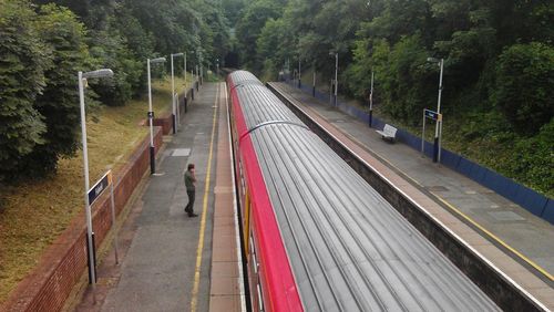 Rear view of man walking on railroad track amidst trees