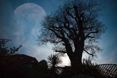 Low angle view of bare tree against sky