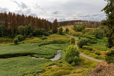 Scenic view of landscape against sky