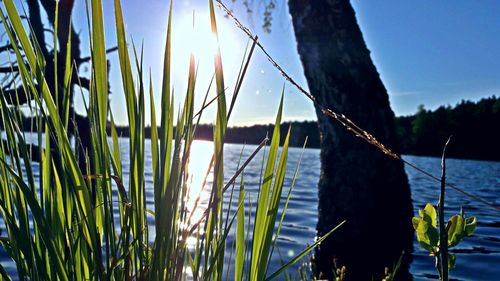 Calm lake against blue sky