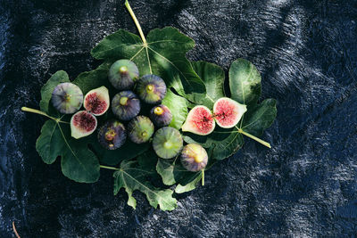 High angle view of berries growing on table