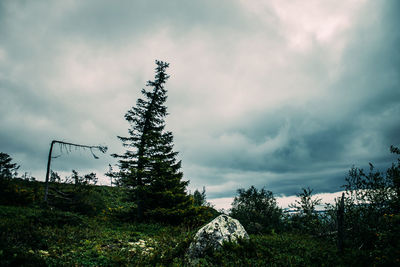 Low angle view of trees against cloudy sky