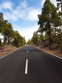 Empty road amidst trees against sky