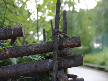 Close-up of wooden fence