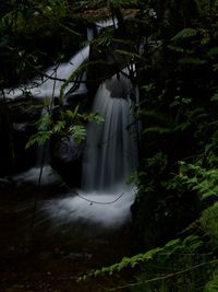 High angle view of waterfall in forest